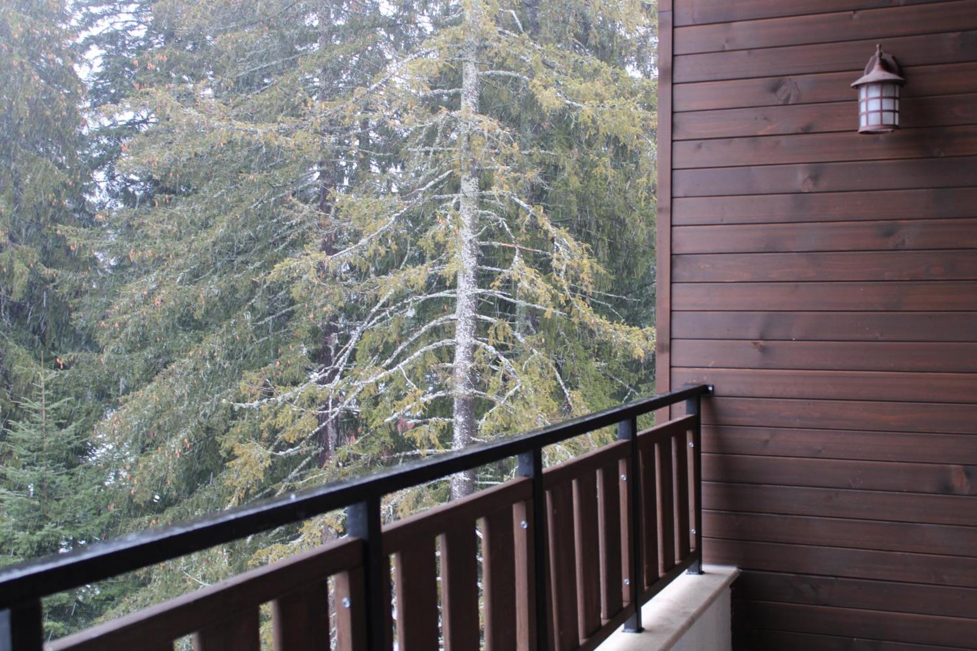 Mountain Studio Asp E63 Borovets Gardens Extérieur photo