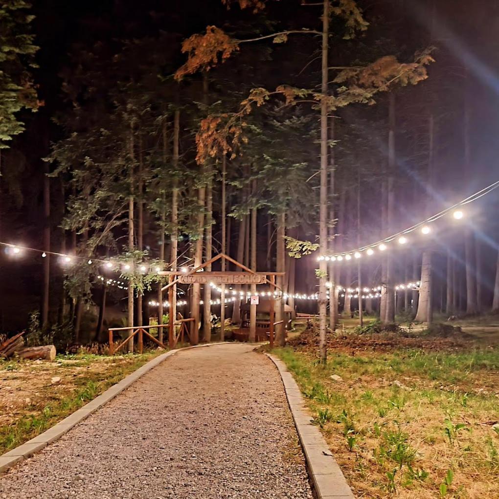 Mountain Studio Asp E63 Borovets Gardens Extérieur photo
